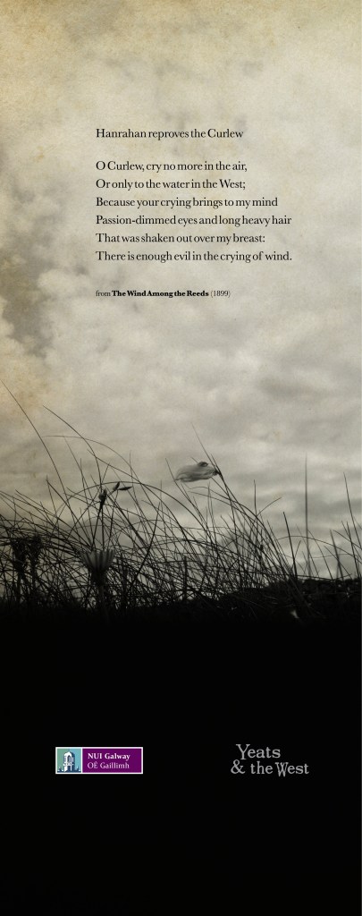 Pop%20Up%20Banner%201_p3 copy