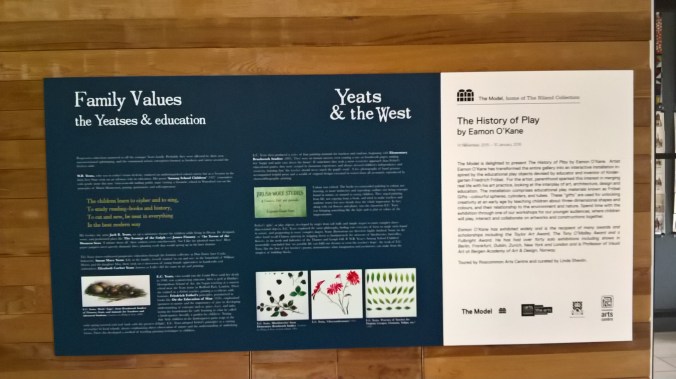 WP_20160324_16_52_15_Pro